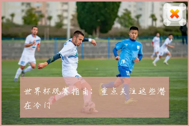 世界杯观赛指南：重点关注这些潜在冷门