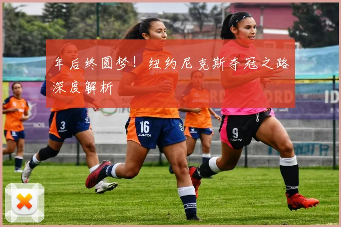 年后终圆梦！纽约尼克斯夺冠之路深度解析